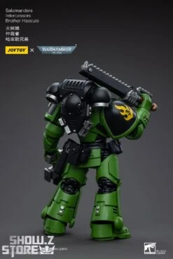 JoyToy Source 1/18 Warhammer 40K Salamanders Intercessors Brother Haecule 8 JoyToy Source 1/18 Warhammer 40K Salamanders Intercessors Brother Haecule -Show.Z Store 3420fa5575