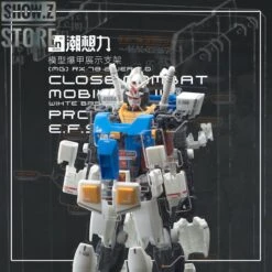 Inforce MG02 MG 1/100 RX-78-2 GUNDAM Ver.2.0 Internal Structure Showcase Display -Show.Z Store 97a266fe1e