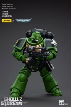 JoyToy Source 1/18 Warhammer 40K Salamanders Intercessors Brother Haecule 4 JoyToy Source 1/18 Warhammer 40K Salamanders Intercessors Brother Haecule -Show.Z Store ae967ec95f