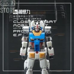 Inforce MG02 MG 1/100 RX-78-2 GUNDAM Ver.2.0 Internal Structure Showcase Display -Show.Z Store ea3a7e4f81